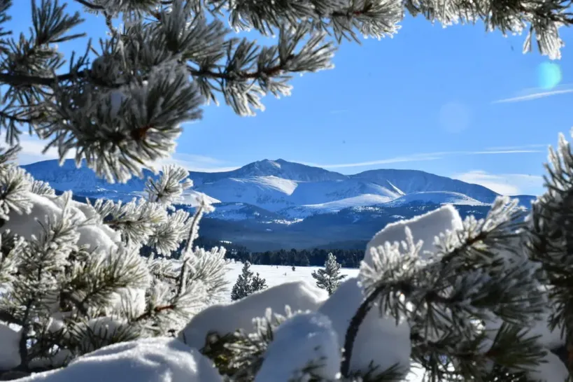 Snowy mountain views through pine trees near Copper Mountain Colorado